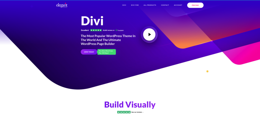 An example of the Divi theme.